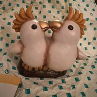 Coppia pappagalli Cacatua che si baciano 2004