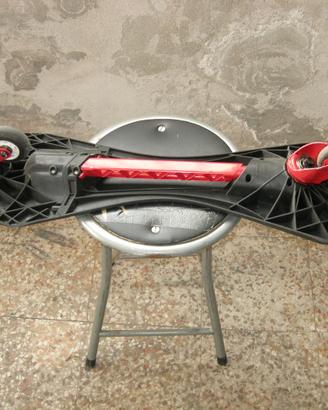 Skateboard a 2 ruote