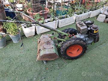 motocoltivtore diesel grillo