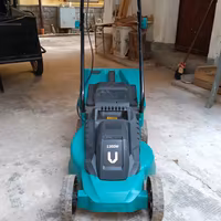 Tagliaerba Elettrico. 