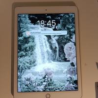 IPAD Air2 65 GB wi-fi + cellular colore oro