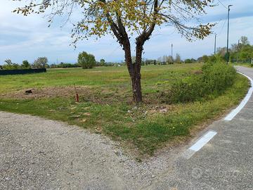 Terreno agricolo per orto o coltivazione 1350mq