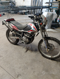 Beta alp 4.0 del 2006