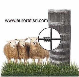 Rete pastorale - Rete pecora zincata