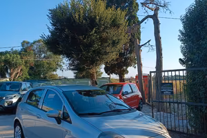 Fiat Grande Punto 1.3 MJT 5P ANNO 2013
