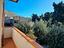 Immagine 15