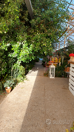 Responsabile vendite garden center