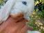 Immagine 4