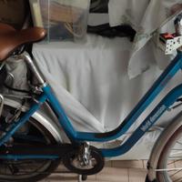 bicicletta elettrica 