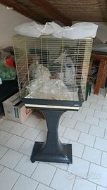 Voliera