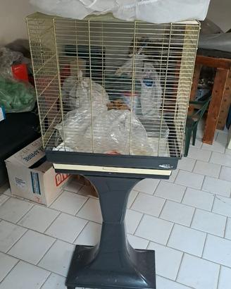 Voliera