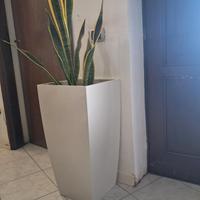 vaso per arredamento 