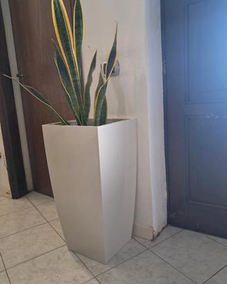 vaso per arredamento 