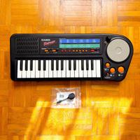 Casio Rapman Circuit Bent + Mic! Spedizion inclusa