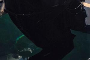 Fuoribordo mercury 40cv