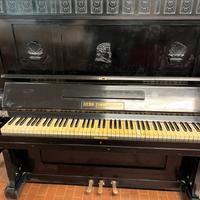 Vertocoda Zimmermann