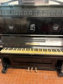 Vertocoda Zimmermann