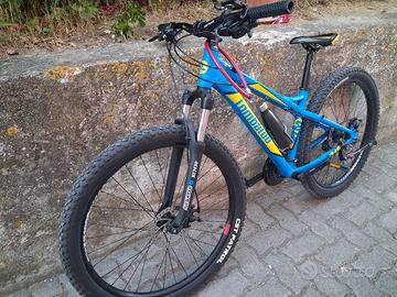 bicicletta 