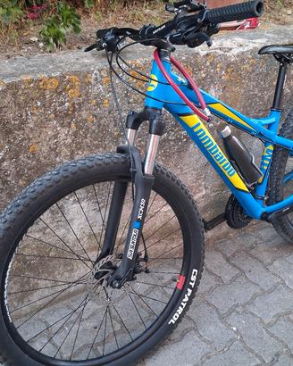 bicicletta 