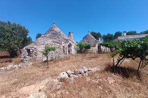 CASA DI CORTE A CEGLIE MESSAPICA