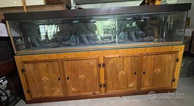 acquario