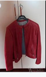 Giubbino Donna in pelle Tg 48 Conbipel