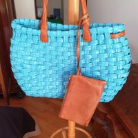 Borsa ERMANNO SCERVINO + Dust Bag