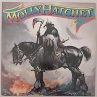 Disco vinile LP 33 giri