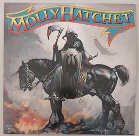 Disco vinile LP 33 giri