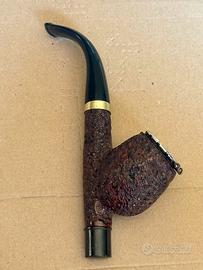 Pipa Cavalier rusticata