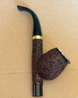 Pipa Cavalier rusticata
