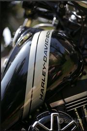 Harley-Davidson Dyna Fat Bob - 2014