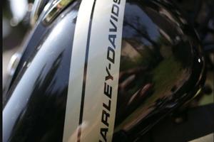 Harley-Davidson Dyna Fat Bob - 2014