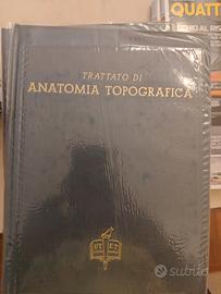 trattatato di anatomia topografica  1977 L. Testut