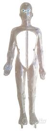 Il Corpo Umano modellino donna trasparente