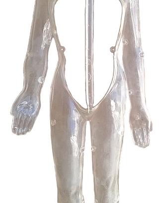 Il Corpo Umano modellino donna trasparente