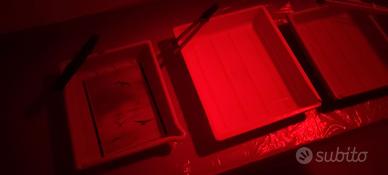 Stampa ai Sali d’argento da files b/n e colore