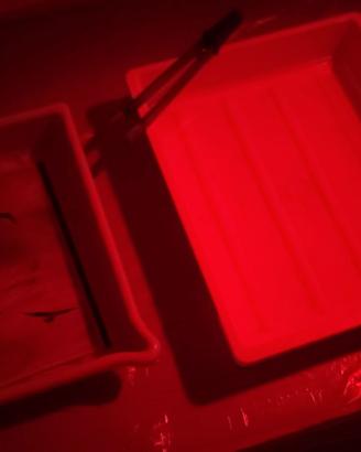 Stampa ai Sali d’argento da files b/n e colore