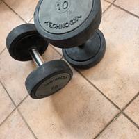 coppia manubri Technogym da 10 kg