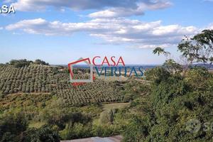 Casa abbinata con giardino Monte San Vito