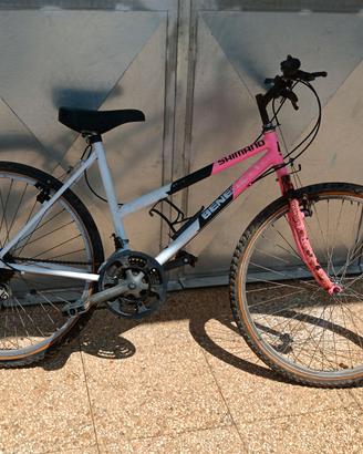 Bici MTB  26 per il mare funzionante cambioShimano