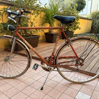 Bicicletta Vicini