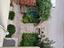 Immagine 19