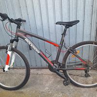  Bici MUNTAIN Bike 