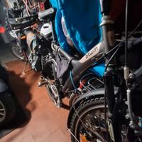 bicicletta a pedalata assistita 