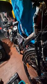 bicicletta a pedalata assistita 