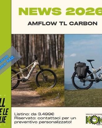EBIKE AMFLOW TL CARBON