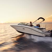 Sea Ray 19 spx OB - Senza motore