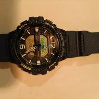 Casio fisching wcs-1250H-2AVEVF+EU