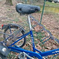 Triciclo per anziani 